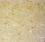 TMC3 Antibody in Immunohistochemistry (Paraffin) (IHC (P))