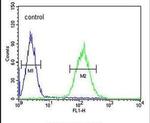 POU5F1B Antibody in Flow Cytometry (Flow)