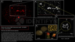 PARP1 Antibody in Immunocytochemistry (ICC/IF)