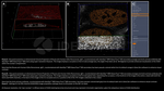 H2AX Antibody in Immunocytochemistry (ICC/IF)