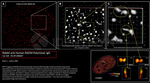 RAD50 Antibody in Immunocytochemistry (ICC/IF)