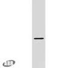 PLLP Antibody in Western Blot (WB)