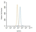 OGG1 Antibody in Flow Cytometry (Flow)