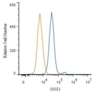OGG1 Antibody in Flow Cytometry (Flow)