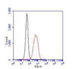 PHD2 Antibody in Flow Cytometry (Flow)