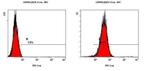 Cripto Antibody in Flow Cytometry (Flow)