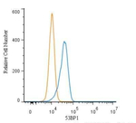53BP1 Antibody in Flow Cytometry (Flow)