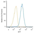 SLC7A11 Antibody in Flow Cytometry (Flow)