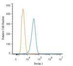 Beclin 1 Antibody in Flow Cytometry (Flow)