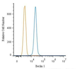 Beclin 1 Antibody in Flow Cytometry (Flow)