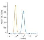 Beclin 1 Antibody in Flow Cytometry (Flow)
