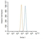 Beclin 1 Antibody in Flow Cytometry (Flow)