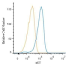 SLC7A11 Antibody in Flow Cytometry (Flow)