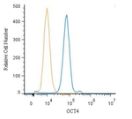 OCT4 Antibody in Flow Cytometry (Flow)