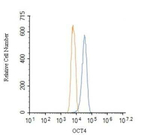 OCT4 Antibody in Flow Cytometry (Flow)