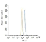 OCT4 Antibody in Flow Cytometry (Flow)