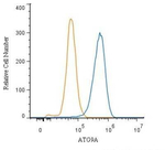 ATG9A Antibody in Flow Cytometry (Flow)
