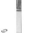 PSEN2 Antibody in Western Blot (WB)