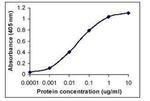 C1q Antibody in ELISA (ELISA)