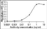 CXCL1 Antibody in ELISA (ELISA)