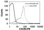 CXCR4 Polyclonal Antibody