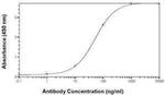LSM4 Antibody in ELISA (ELISA)