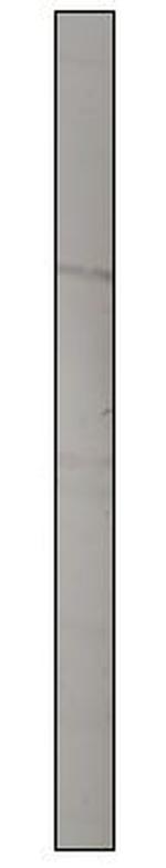 Brevican Antibody in Western Blot (WB)