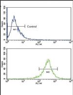 FGFR4 Antibody in Flow Cytometry (Flow)