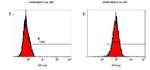 LC3B Antibody in Flow Cytometry (Flow)