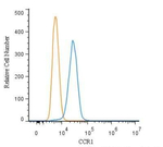 CCR1 Antibody in Flow Cytometry (Flow)