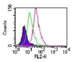 TLR11 Antibody in Flow Cytometry (Flow)