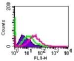 IL20RA Antibody in Flow Cytometry (Flow)