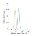 BMAL1 Antibody in Flow Cytometry (Flow)