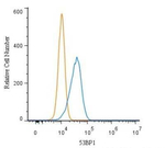 53BP1 Antibody in Flow Cytometry (Flow)