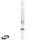 Phospho-PLK1 (Thr210) Antibody in Western Blot (WB)