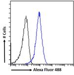 NUP85 Antibody in Flow Cytometry (Flow)