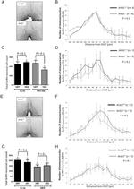 GnRH1 Polyclonal Antibody