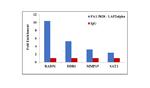 LAP2 alpha Antibody in ChIP Assay (ChIP)