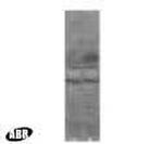 GLT-1 Antibody in Western Blot (WB)