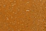 GOLPH3 Antibody in Immunohistochemistry (Paraffin) (IHC (P))