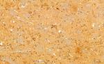 Phospho-SREBP1 (Ser338) Antibody in Immunohistochemistry (Paraffin) (IHC (P))
