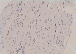Phospho-REPS1 (Ser272) Polyclonal Antibody