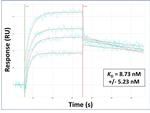 RILP Antibody in Surface plasmon resonance (SPR)