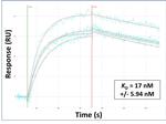 TSPAN2 Antibody in Surface plasmon resonance (SPR)