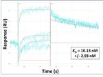 OTUD1 Antibody in Surface plasmon resonance (SPR)
