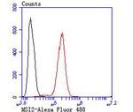 MSI2 Antibody in Flow Cytometry (Flow)