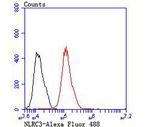 NOD3 Antibody in Flow Cytometry (Flow)