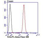 NLRP3 Antibody in Flow Cytometry (Flow)