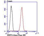 DDIT4 Antibody in Flow Cytometry (Flow)