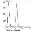 FAP Antibody in Flow Cytometry (Flow)